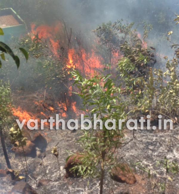 ಕೋಡಿಜಾಲ್: ಮಸೀದಿ ಕಬರ್ ಸ್ಥಾನಕ್ಕೆ ಆಕಸ್ಮಿಕ ಬೆಂಕಿ